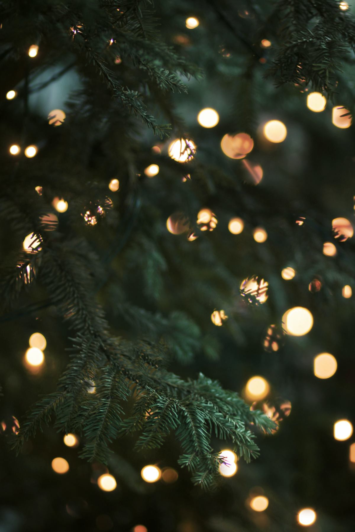 A Christmas tree